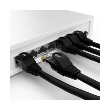 ProLAN AE-C5E- FTP-1M (Black, White)